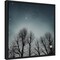 Winter Sky (Tree line) by Andre Eichman 16-in. W x 16-in. H. Canvas Wall Art Print Framed in Black